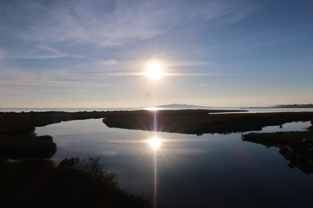 Reflection: Salt marsh 5_a0397115_16175533.jpeg