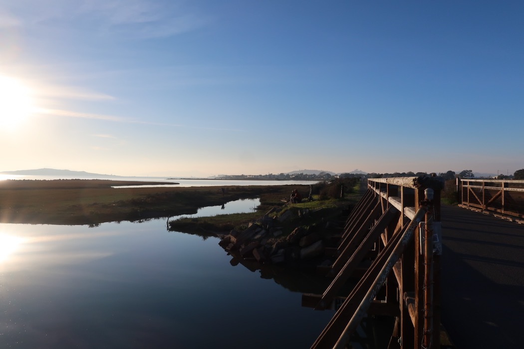 Reflection: Salt marsh 5_a0397115_16181200.jpeg