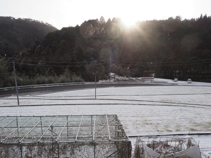 今朝は薄っすら雪景色_c0116915_20095303.jpg