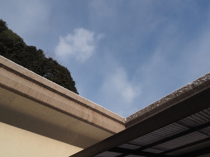 今朝は薄っすら雪景色_c0116915_20105150.jpg