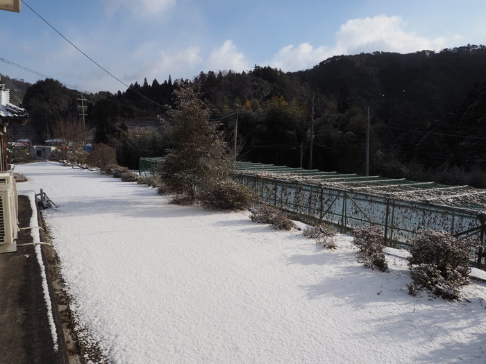 今朝は薄っすら雪景色_c0116915_20122891.jpg