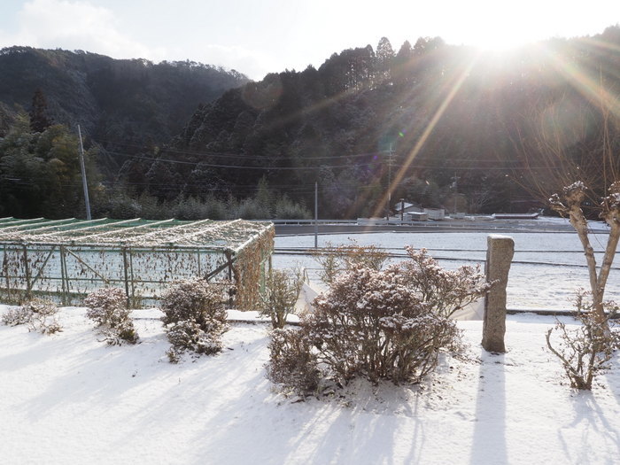 今朝は薄っすら雪景色_c0116915_20124335.jpg