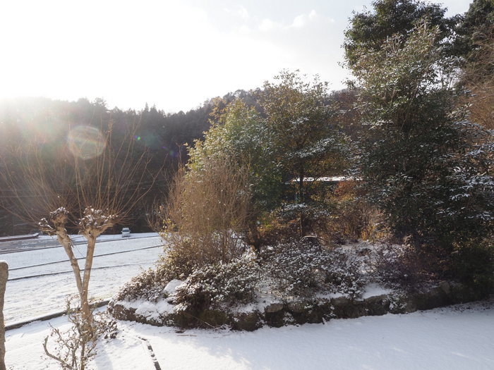 今朝は薄っすら雪景色_c0116915_20125200.jpg