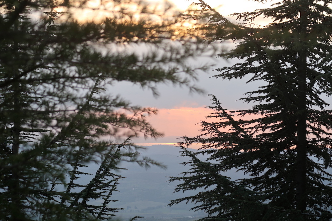 湖の夕景をテッツィオ山に登って_f0234936_18123459.jpg