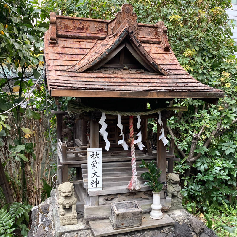柳森神社と富士塚_c0060143_12321097.jpg