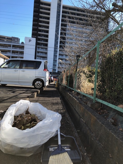 落ち葉掃除_b0208246_10132894.jpg