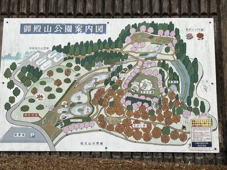 公園にいってみませんか?_b0063162_00392327.jpg
