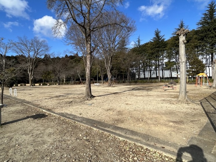 公園にいってみませんか?_b0063162_00393451.jpg