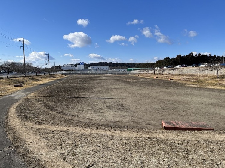 公園にいってみませんか?_b0063162_00394478.jpg