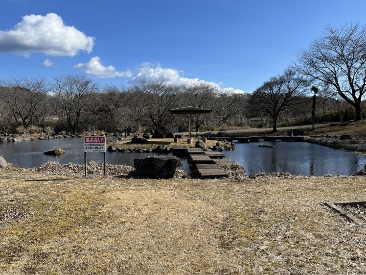 公園にいってみませんか?_b0063162_00401046.jpg