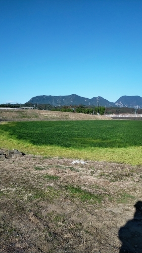 いろいろと作業_d0195183_02053005.jpg