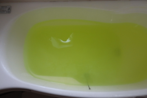 我が家は北海道・登別（乳緑色）のにごり炭酸♨湯　2022.8.18_c0075701_10504626.jpg