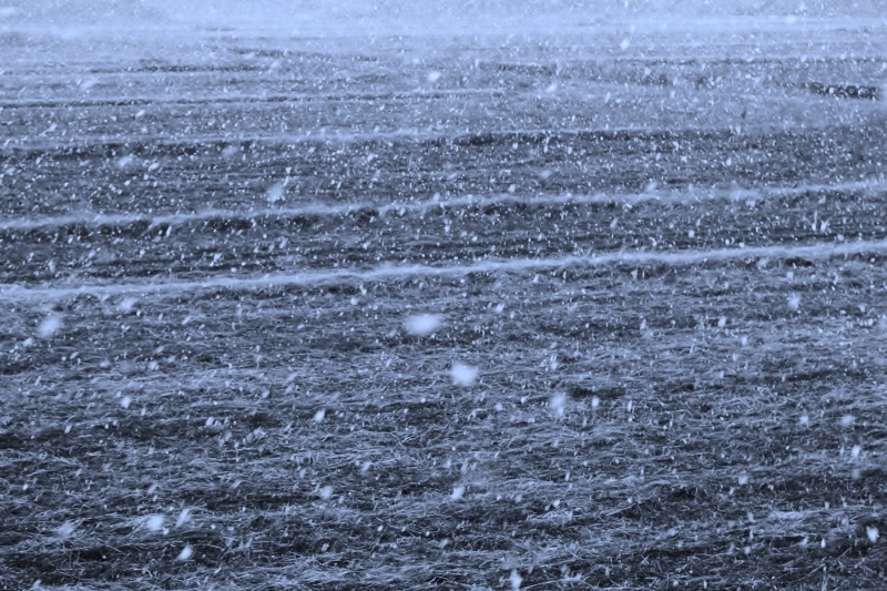 雪を見ながら_b0220318_18142949.jpg