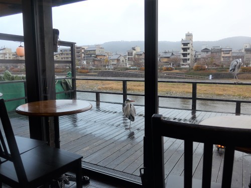 京都・清水五条「カワカフェ」へ行く。_f0232060_12252115.jpg