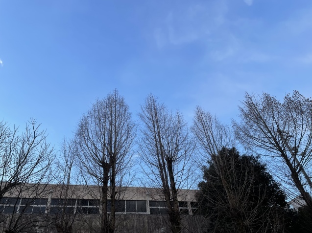 この上ない幸せ。_a0394574_16030248.jpeg