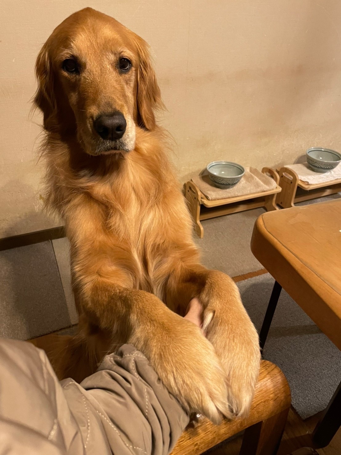 この上ない幸せ。_a0394574_16055924.jpeg