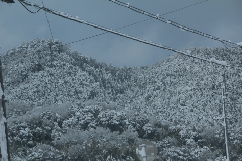 再度の積雪・・・２０ｃｍあまりでも雪かきを・・・_d0178082_22330060.jpg