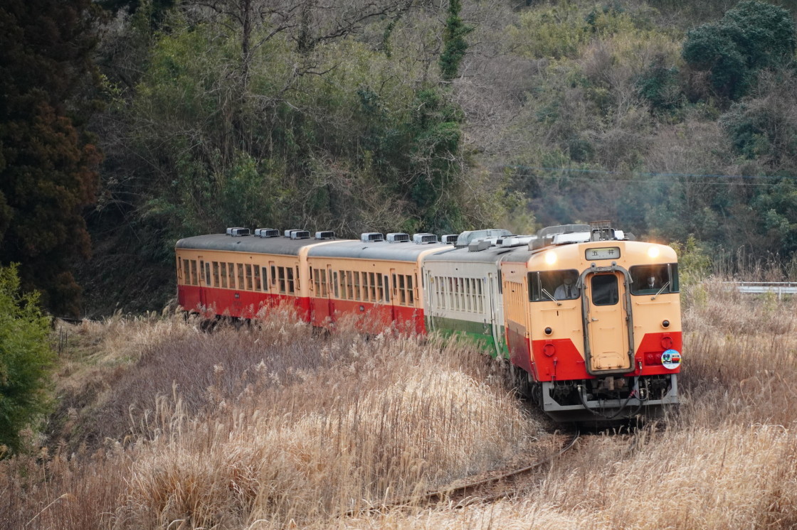 10個セット 電車 ほんと マスキングテープ キハ40系