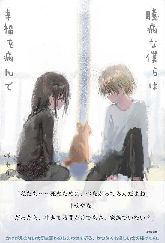 生ネコ抱き枕_a0389088_18092690.jpg