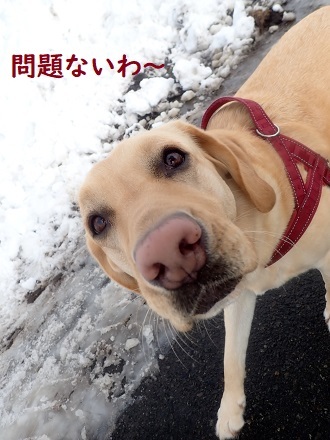どろんこプニー。_c0182012_15095706.jpg