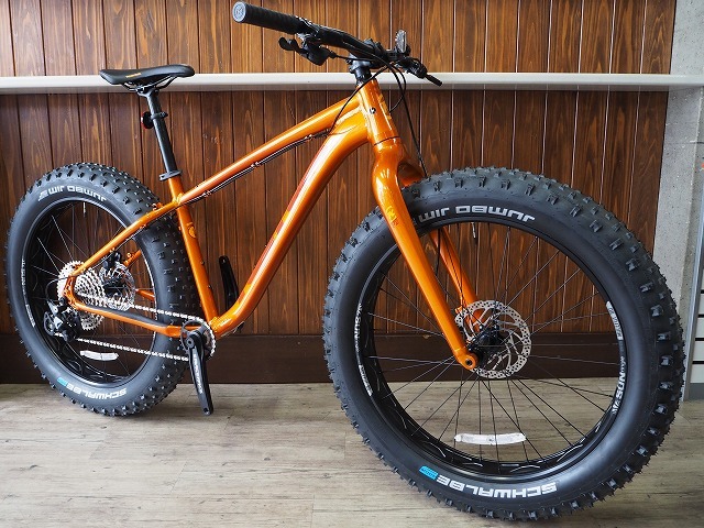 今年の豪雪にもFAT BIKE 最強説_c0225621_16564852.jpg