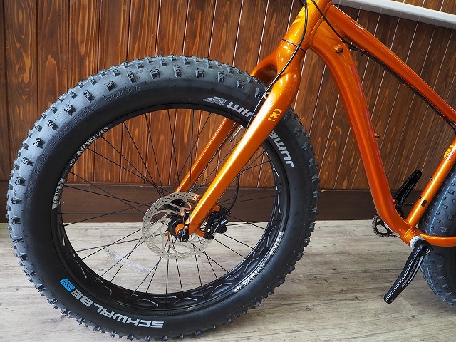 今年の豪雪にもFAT BIKE 最強説_c0225621_16564995.jpg