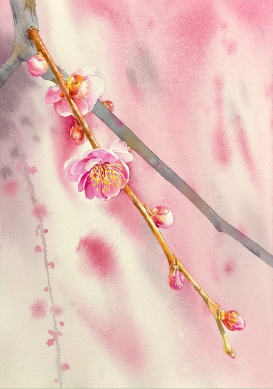 しだれ梅・・ 水彩画 : 青山一樹 水彩画のひととき しだれ梅・・ 水彩画 : 青山一樹 水彩画のひととき