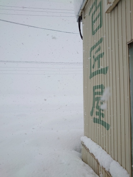 またまた大雪_a0259132_08144083.jpg