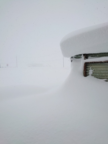 またまた大雪_a0259132_08202995.jpg