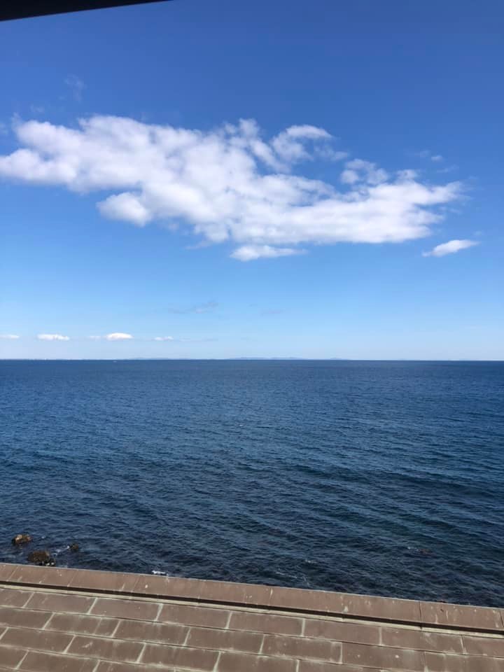カピバラ温泉_e0133255_17404781.jpg