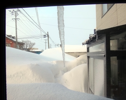 今日も雪の事など、 バラのアーチが埋もれそうで・・・^^_a0136293_15434069.jpg