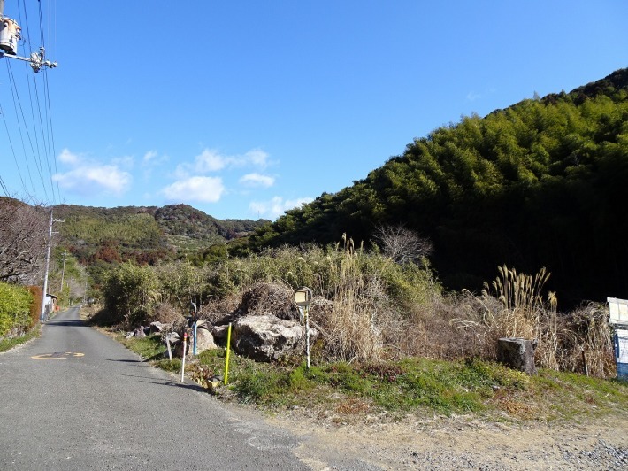 商談中です。高知市春野町秋山 山林