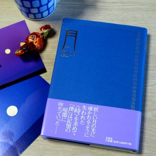 『月』美月ココ著書_d0039443_15231336.jpg