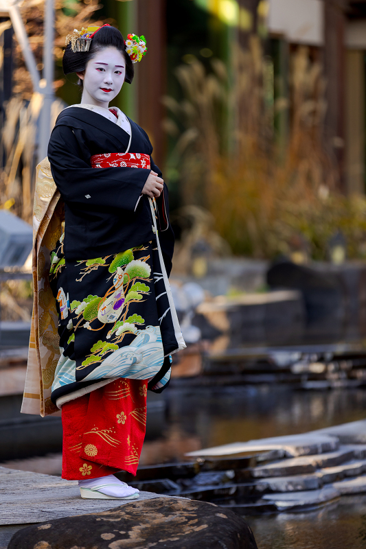 稲穂の簪（祇園甲部・佳つ笑さん） : 花景色－K.W.C. PhotoBlog