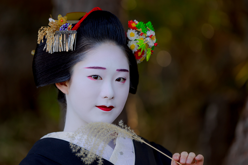 芸妓、芸者簪一揃え 芸妓、芸者簪一揃え
