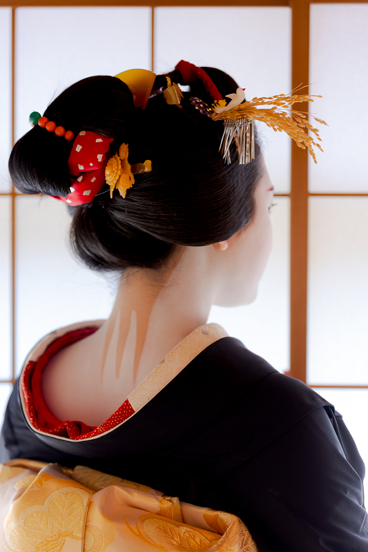 稲穂の簪（祇園甲部・佳つ笑さん） : 花景色－K.W.C. PhotoBlog