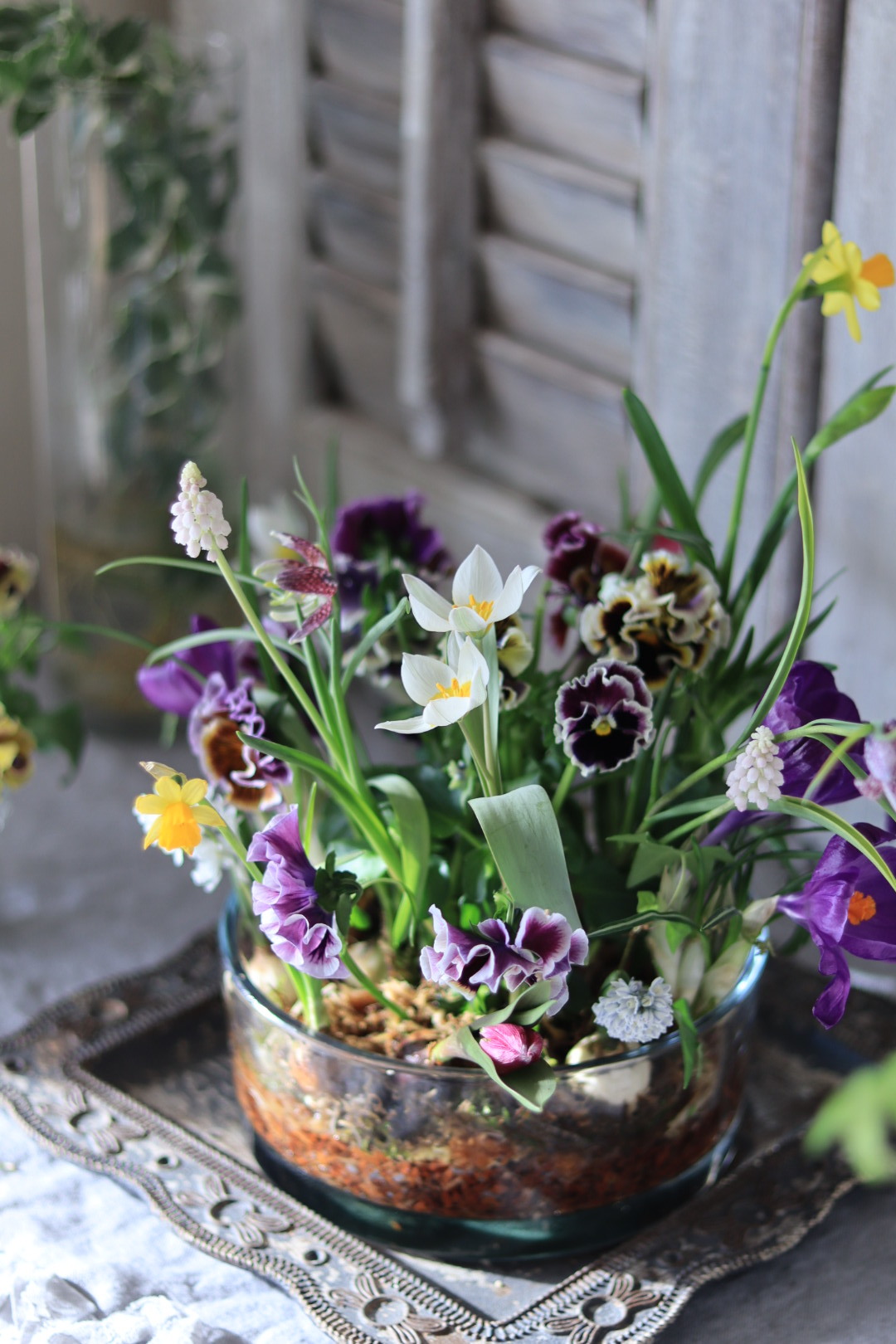 1月Living flowerクラス 球根の花の春の庭_e0158653_17144694.jpg