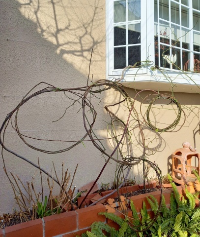 ワイヤーでつるバラ誘引 出窓周り Soleilの庭あそび 布あそび
