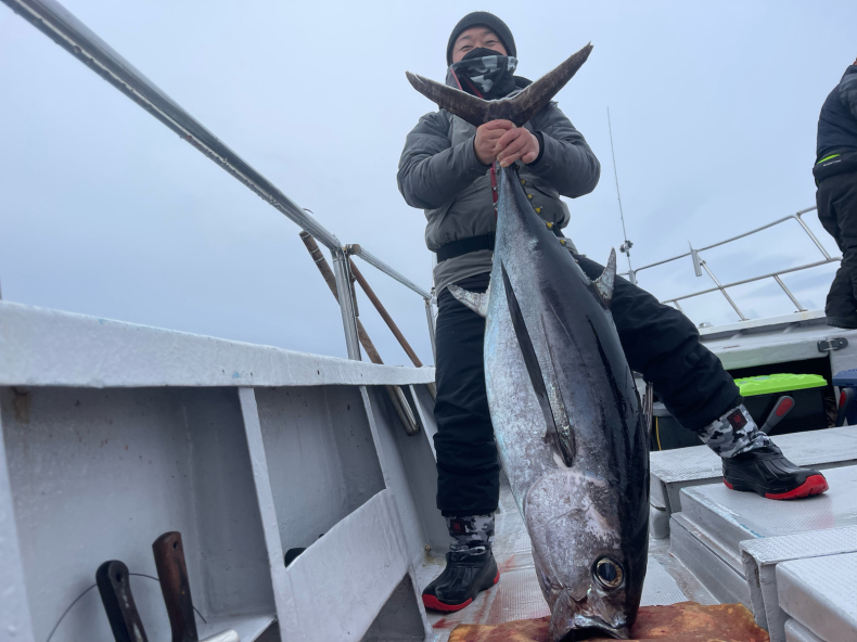 トンボ　マグロジク13本セット トンボ マグロジク13本セット 【公式通販】