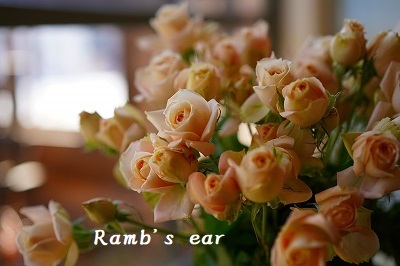 入荷したお花ご紹介 Ramb S Ear ﾗﾑｽﾞｲﾔｰ