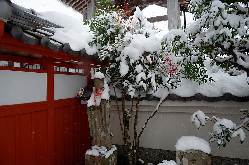2021年京都の雪景色@南丹 安楽寺_f0032011_19093208.jpg