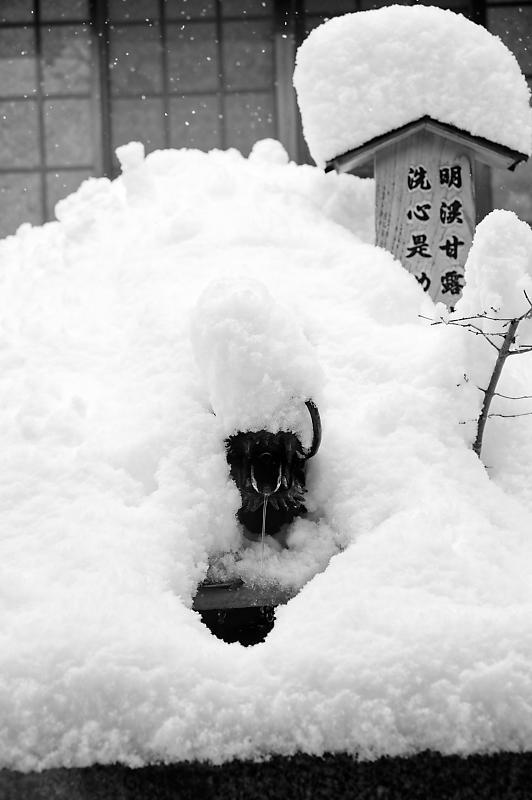 2021年京都の雪景色@南丹 安楽寺_f0032011_19093217.jpg