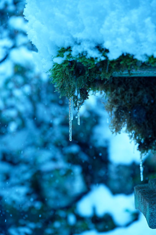 2021年京都の雪景色@南丹 安楽寺_f0032011_19134438.jpg