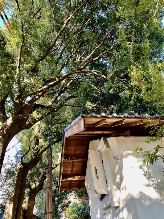 我が家から一番近い「黒湯の温泉」。──「深大寺天然温泉 湯守の里」_d0352022_14493192.jpeg