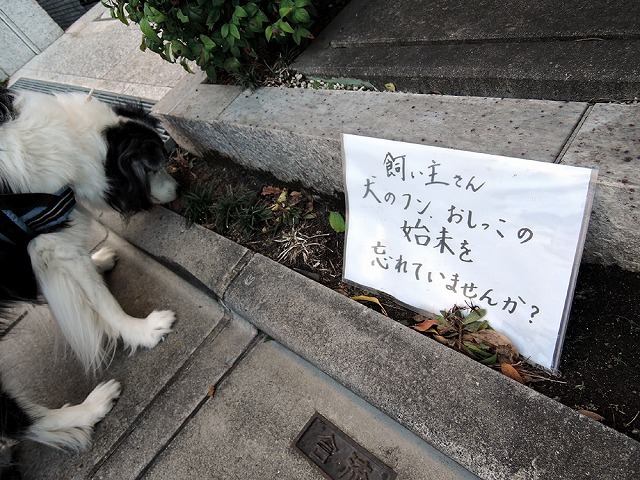 散歩屋日誌【73】_c0062832_15554000.jpg