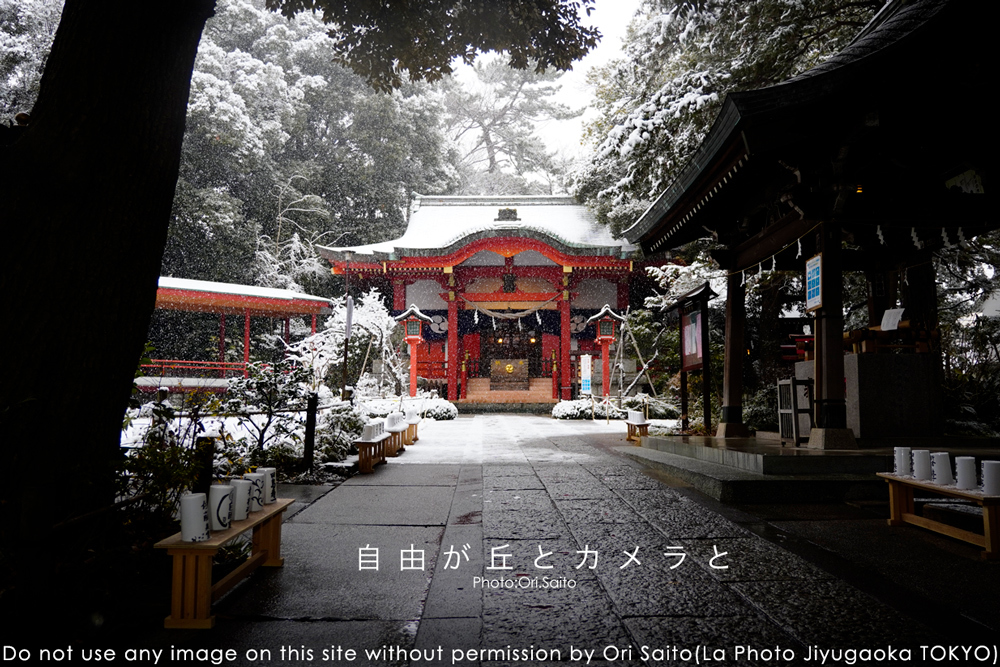 カメラと自由が丘と、雪の熊野神社 #SIGMA 18-50mm F2.8 DC DN Contemporary #ZVE10 #カメラ女子 #sony_f0212049_01285272.jpg