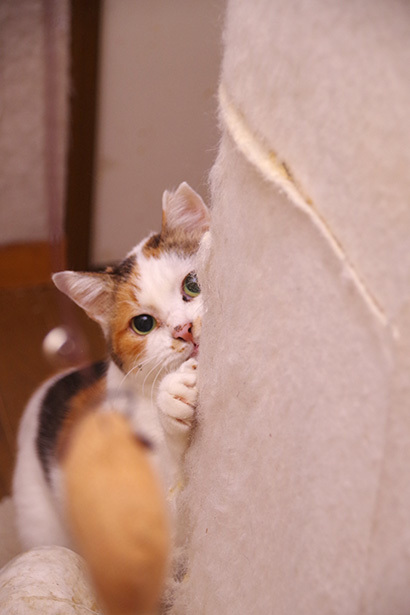 思わず体が動く_a0028451_12460111.jpg