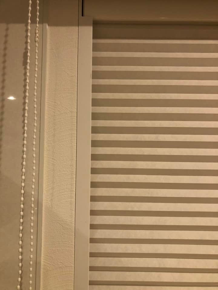寒さに強いハニカムスクリーン_e0133255_16584530.jpg