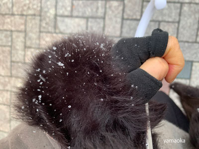 長谷川素逝―物心一如の凝視_f0071480_16041632.jpg