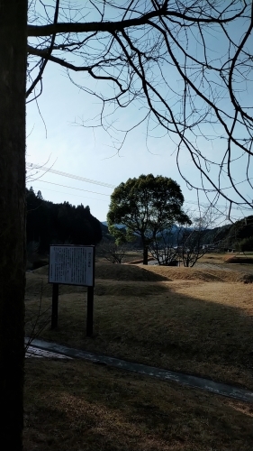 登り窯の窯詰め終了_d0195183_11262803.jpg